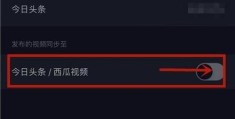 陈中磊今日头条视频最新(陈中磊今日头条视频最新消息)