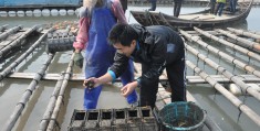 致富带头人典型事迹材料800字(致富带头人典型事迹材料800字怎么写)