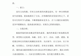 大学生职业规划大赛范文计算机(大学生计算机职业规划3000字)