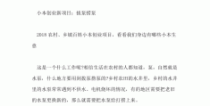 2021创业项目排行榜(2021创业项目排行榜最新)