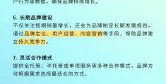 网络公司加盟代理怎么做(网络公司加盟代理怎么做的)