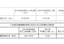 项目经理一年工资多少钱(项目经理年薪一般多少钱?怎么安排工作?)