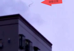 抖音李茂达中国龙是真的吗(抖音李茂达中国龙是真的吗还是假的)