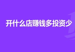 适合一个人做的生意小投资有哪些(适合一个人做的生意小投资有哪些项目)