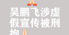 吴鹏飞策划(吴鹏飞策划有限公司)
