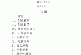 众筹创业项目计划书(众筹项目计划书完整版)