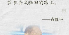 袁隆平人物海报文案的简单介绍