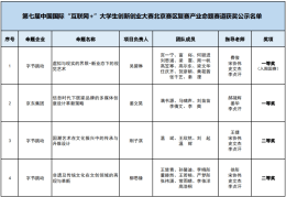 互联网加创新创业大赛优秀作品名称(互联网加创新创业大赛优秀作品策划书)