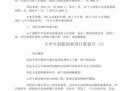 大学生创业小项目个人创业计划书(大学生创业小项目个人创业计划书怎么写)