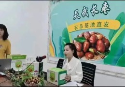 致富带头人典型事迹董事长(致富带头人典型事迹董事长发言稿)