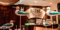 致富网加盟项目(致富网加盟项目怎么样)