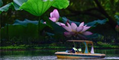 台湾摄影师陈志明(台湾摄影师陈志明照片)