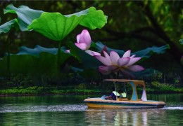 台湾摄影师陈志明(台湾摄影师陈志明照片)