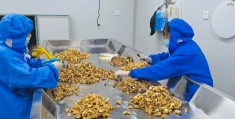 致富经种植亩收入过亿(致富经种植养殖全部视频)