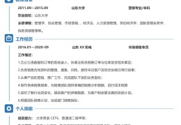 简历模板全套word格式要求(简历模板全套word格式要求怎么写)