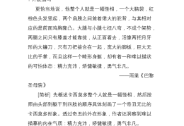 人物描写摘抄名著(人物描写摘抄名著片段)