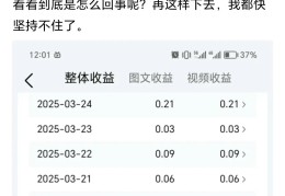 头条上发表作品怎么收益?(在头条上发布视频作品怎么获得收益)