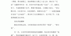 人物作文素材议论文(人物素材议论文300字)