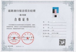 项目经理证书样本电子版(项目经理证书样本电子版图片)
