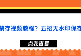 头条文章怎么发视频教程(头条文章怎样发微信朋友圈)