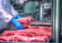 最有前景的小型加工厂食品企业(最有前景的小型加工厂食品企业有哪些)