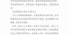 关于关于朋友的小传600字初二没有名字的信息