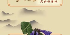 2020致富经(2020致富经视频)