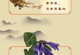 2020致富经(2020致富经视频)