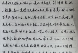 抄小说怎么抄(抄小说会被判刑吗)