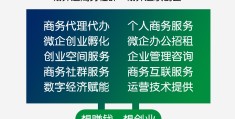 互联网+创业例子(互联网时代创新创业的案例)