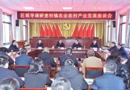 村干部致富带头人典型材料(村委会致富带头人)