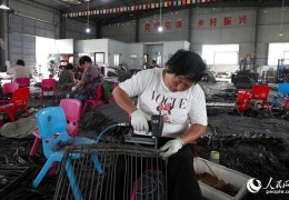 农村致富小型加工厂2020年发展(农村一个小型加工厂,年收入几十万,你见过吗?)