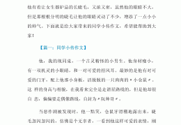人物小传三要素小学生怎么写(人物小传怎么写 范文300字)