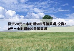 投资20元一小时赚500的详细介绍(投资20元一小时赚500的详细介绍怎么写)