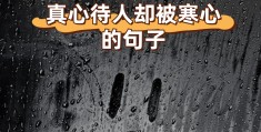 真心待人却被寒心的诗(真心待人却被当傻子的句子)