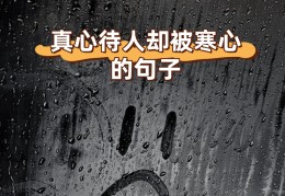 真心待人却被寒心的诗(真心待人却被当傻子的句子)