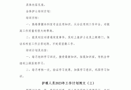 护理求职计划书范文模板(护理求职计划书范文模板图片)