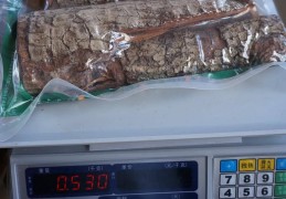 1万块钱多少斤(1万块钱多少斤量?)