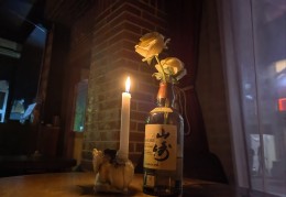 酒吧老板跑路了怎么办(酒吧倒闭人跑了工资怎么要回)