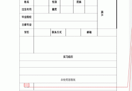 个人简历模板怎么做word(个人简历模板word格式怎么制作)