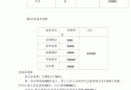 养老院创业计划书财务分析(养老院创业计划书财务分析范文)