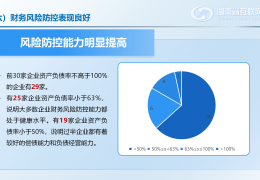 互联网企业的风险分析(互联网企业行业风险和应对)