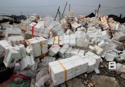 关于2020年做废品回收生意怎么样?的信息