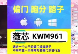 2020赚快钱的路子有人带吗(2020赚快钱的路子有人带吗是真的吗)