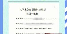 创业项目该怎么写(创业项目的简单介绍)