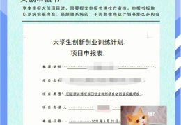 创业项目该怎么写(创业项目的简单介绍)