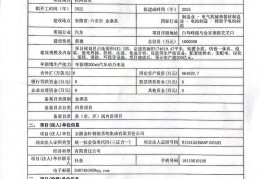立项文件编号(立项文号什么样子)