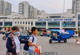 摆地摊赚钱(摆地摊赚钱容易吗还被城管收)