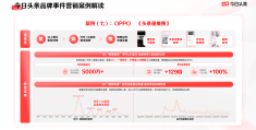 头条的投放平台叫什么(头条的投放平台叫什么来着)