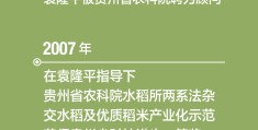 杰出人物袁隆平作文(伟大人物袁隆平作文)